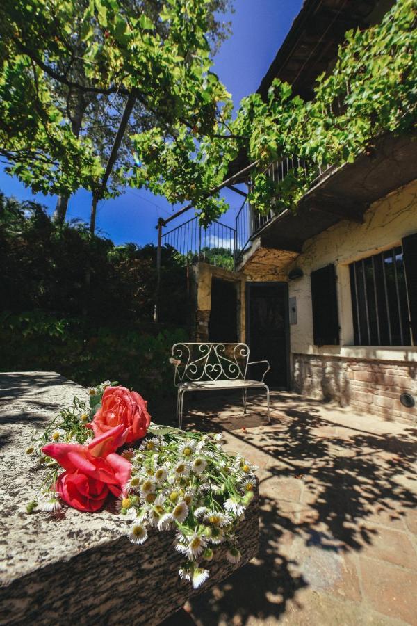 Cascina Flino Apartamento Diano dʼAlba Exterior foto